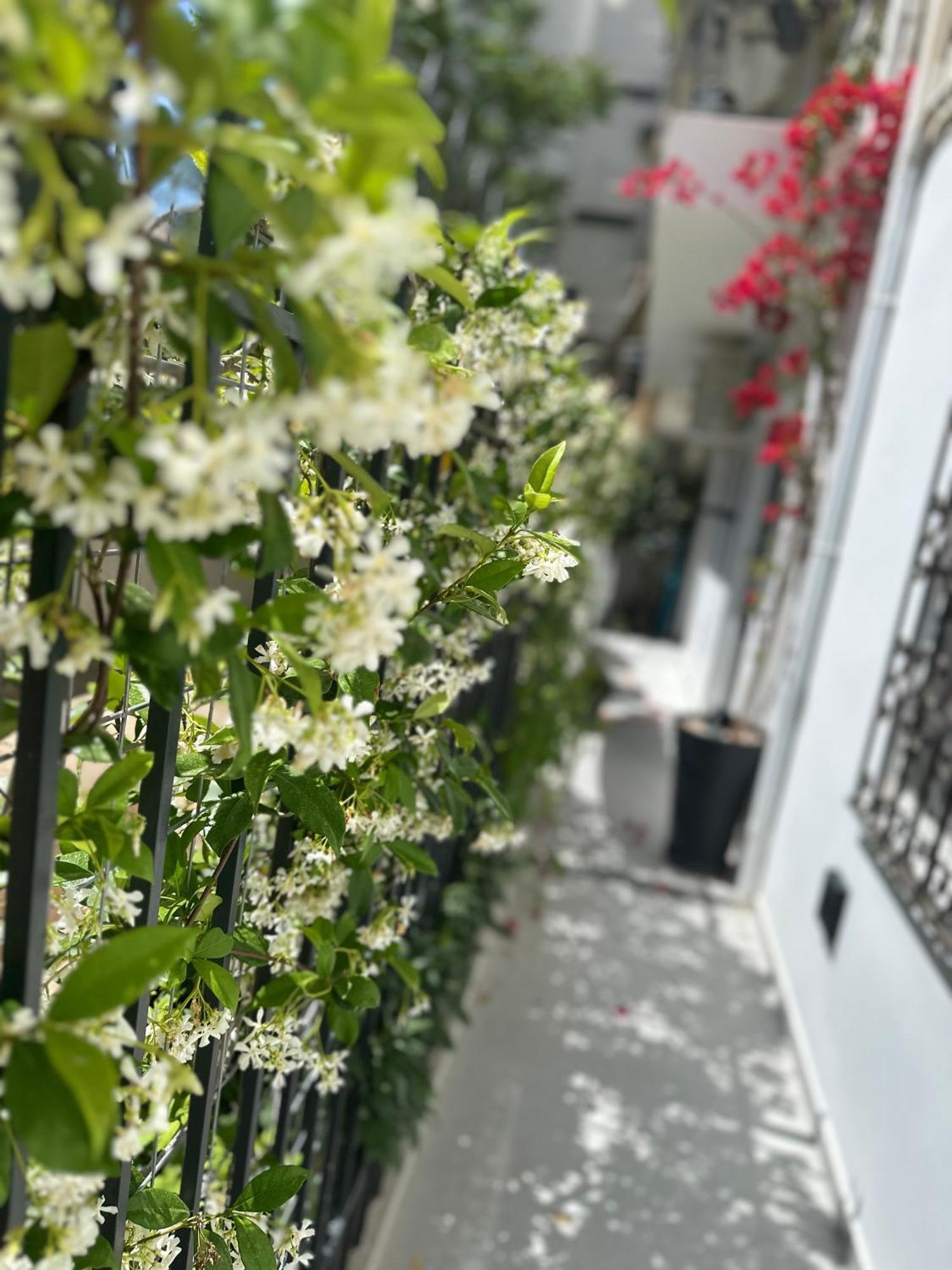 Apartament Athenian Coastal Urban Living Zewnętrze zdjęcie